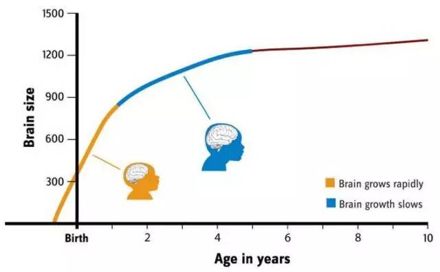 电子产品损害的不止是孩子的视力!美国儿科学会教你量身定做“限看令”