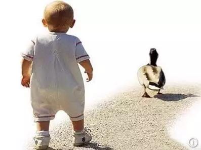 千万别把孩子养成乞丐!