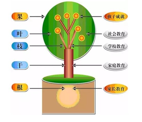 为什么家庭教育将成为培训机构未来招生的关键因素?